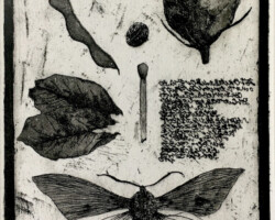 Picture book on the table